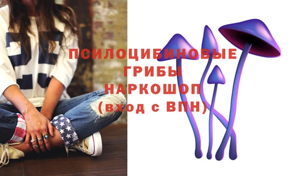 эйфоретик Алзамай