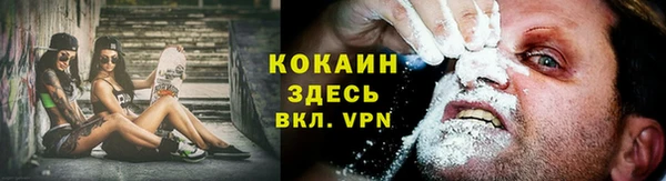 гашик Алексин