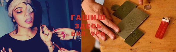 гашик Алексин