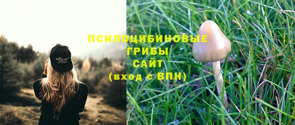 эйфоретик Армянск
