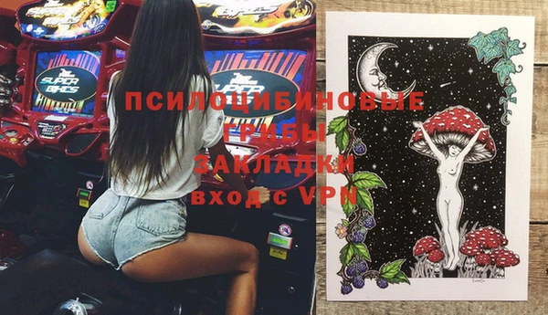 apvp Аркадак