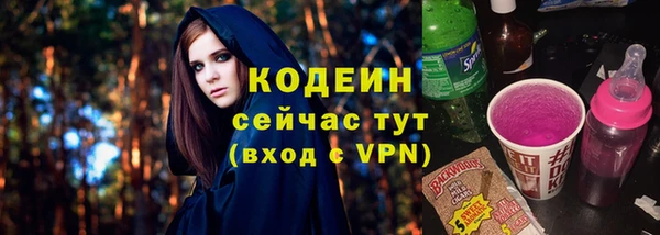 дживик Переславль-Залесский