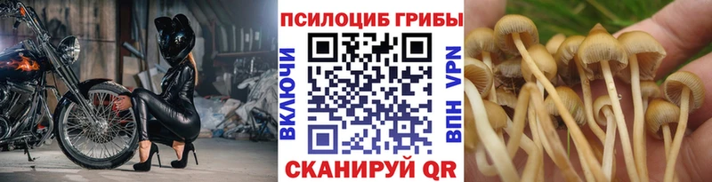 цена наркотик  Усинск  дарк нет какой сайт  Галлюциногенные грибы прущие грибы 